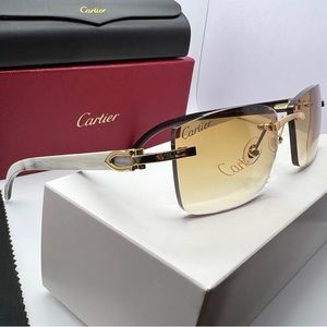 Cartier ct0046s Buffalo Horn Rimless